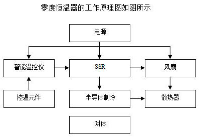 DY-BO零点恒温器/零度恒温器/冰点器