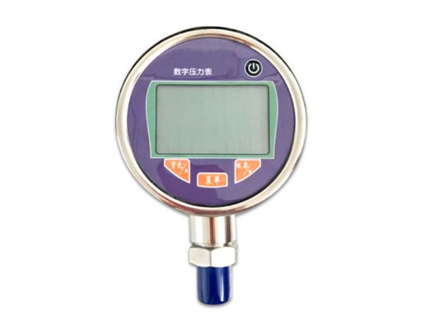 DY-YLB数字压力表